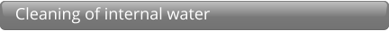 Cleaning of internal water