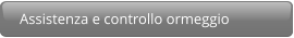 Assistenza e controllo ormeggio