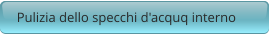 Pulizia dello specchi d'acquq interno