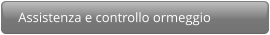 Assistenza e controllo ormeggio