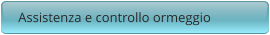 Assistenza e controllo ormeggio