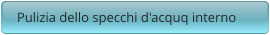 Pulizia dello specchi d'acquq interno